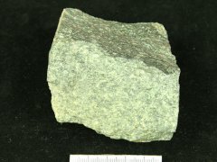 I(y)ɰC(j)O(sh)䡪xGrз