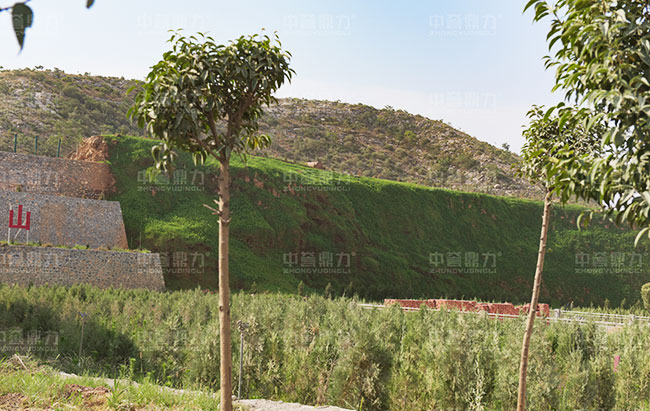 GɫVɽôuشGɫh(hun)ɰʯS